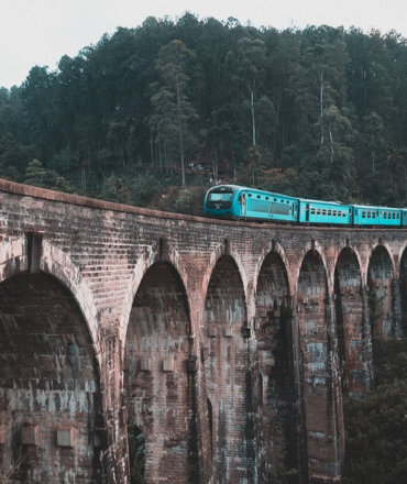 untitled design (11)