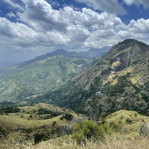 untitled design (7) (1)