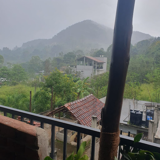 Photo from customer review